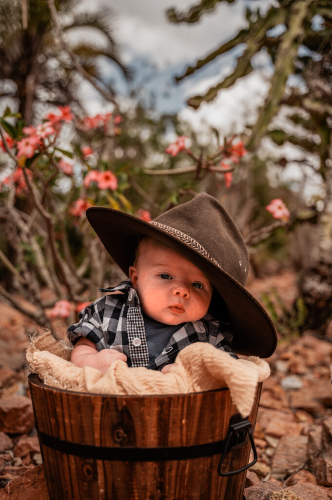 newborn baby sitting inside a wooden bucket inside the cactus garden of a townsville botanical garden - newborn photography by Jamie Simmons