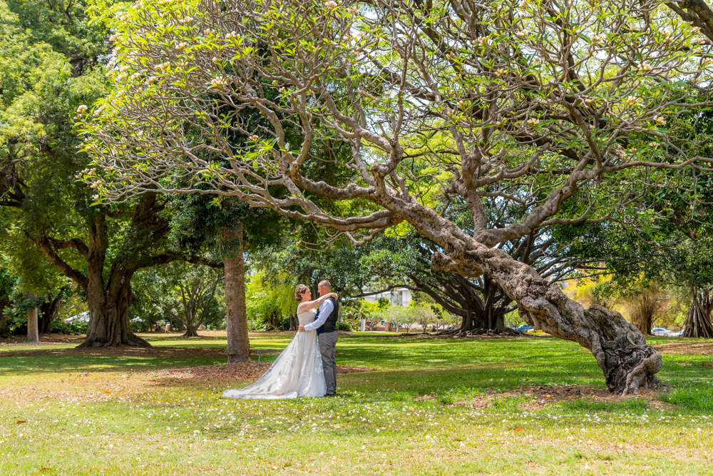 townsville bride and groom embracing under a tree in botanical garden - wedding photography by Jamie Simmons
