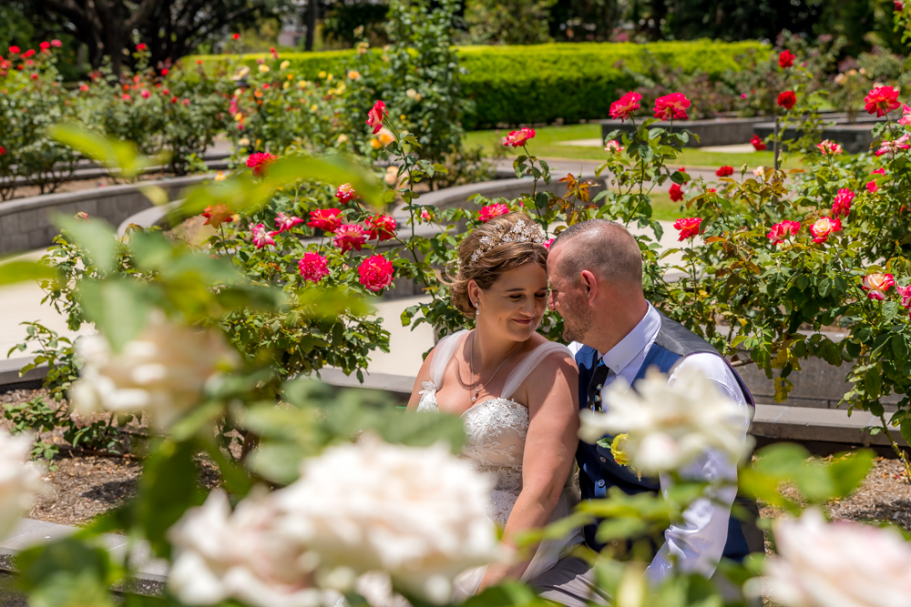 bride and groom sitting in a rose garden at a townsville botanical garden - wedding photography by Jamie Simmons